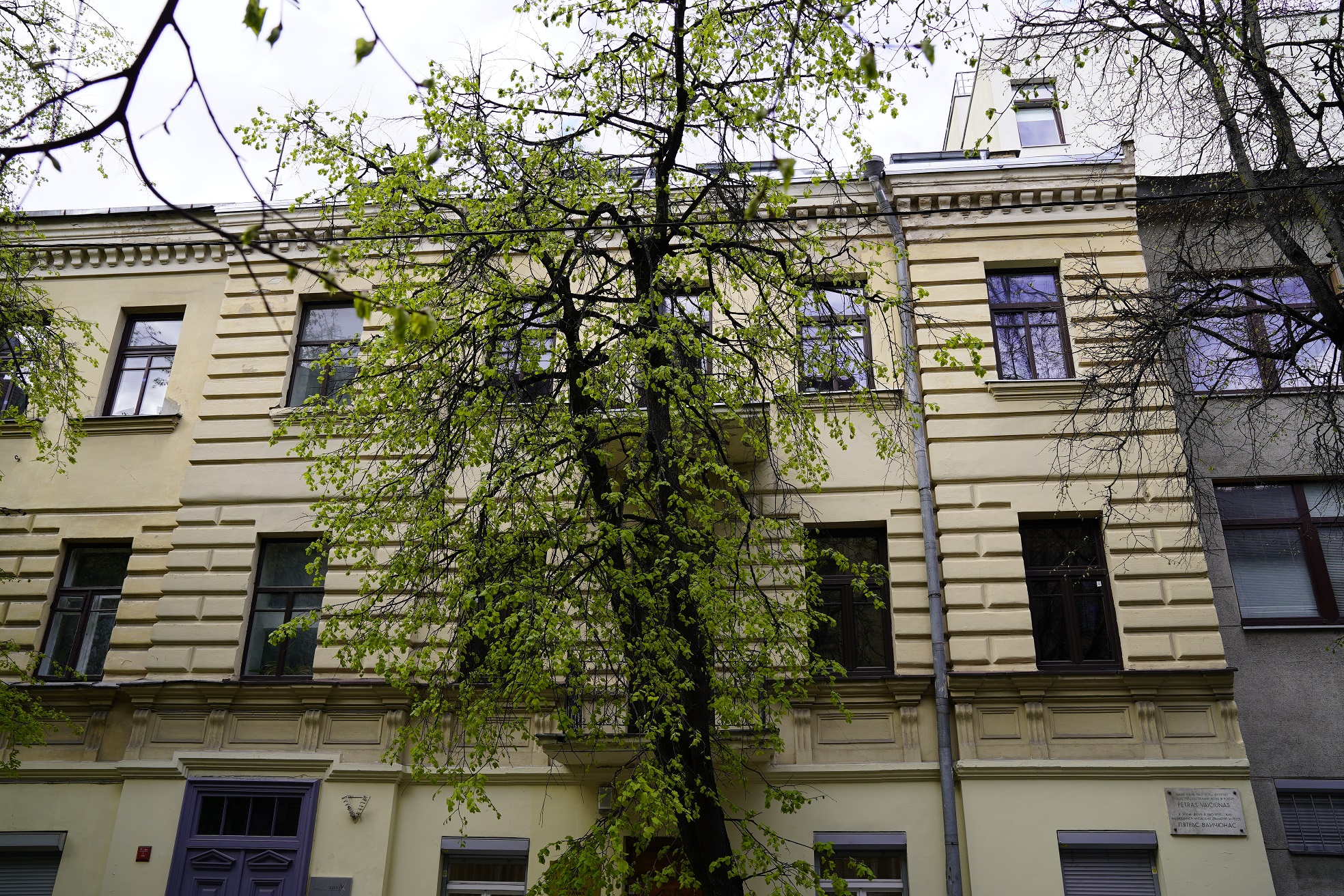 Mieszkanie Petrasa Viaciunasa