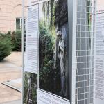  NEKROPOLIA NA BAJKOWEJ GÓRZE – WYSTAWA PLENEROWA W MUZEUM ZIEM WSCHODNICH DAWNEJ RZECZYPOSPOLITEJ W LUBLINIE