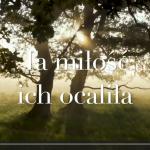 Krzysztof Pilarczyk, „Ta miłość ich ocaliła”